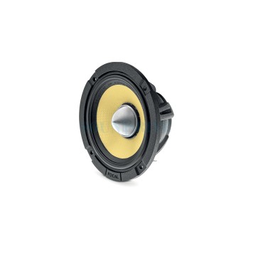 Focal MR ES165KX3E (HPVE3020) - СЧ-динамики